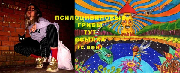 амфетамин Алексеевка