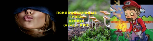 тгк Медвежьегорск
