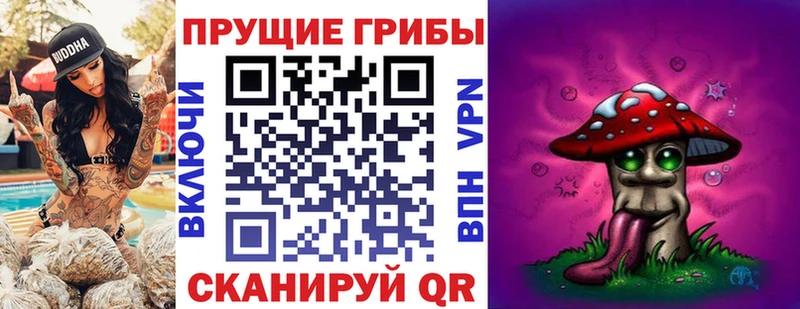 кракен ссылки  Бердск  Псилоцибиновые грибы Cubensis 