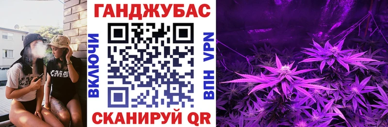купить закладку Бердск Каннабис планчик
